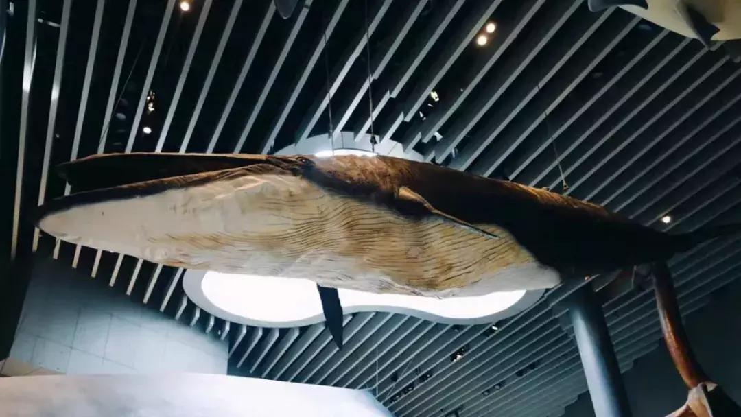 看完不想上班,让人看着就不想做的工作