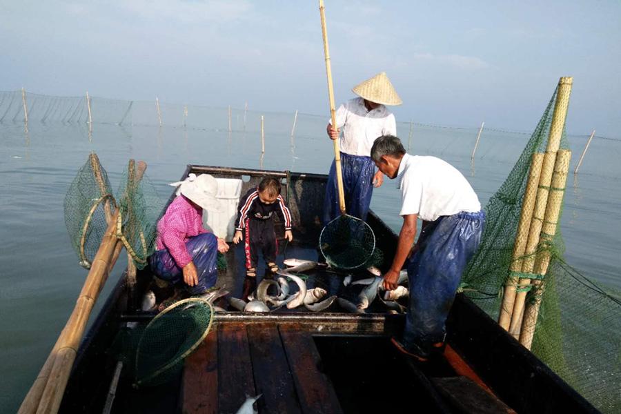 苏州西山凡音民宿,苏州西山明月湾民宿