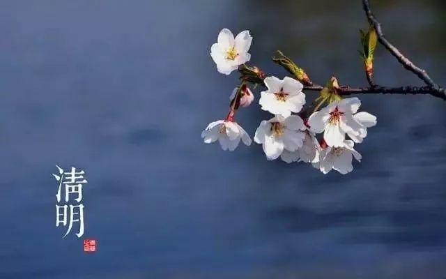 24节气适合喝什么茶,一年最热的节气宜喝什么茶