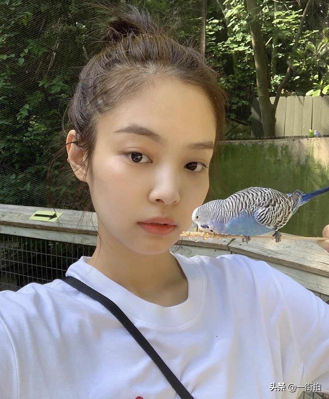 jennie白t黑长裤,jennie徒步穿搭