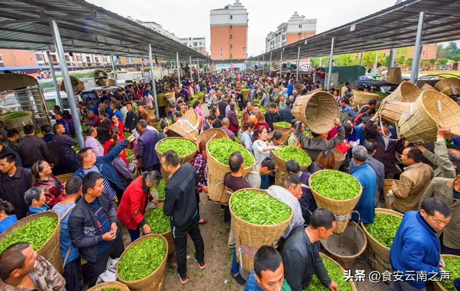 中国茶叶行业市场分析报告,中国茶叶消费市场报告