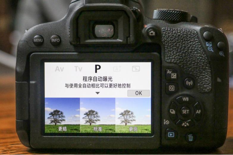 佳能入门单反推荐佳能77d,佳能77D入门