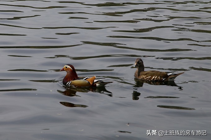 周末微旅行第一季,周末微旅行石湖
