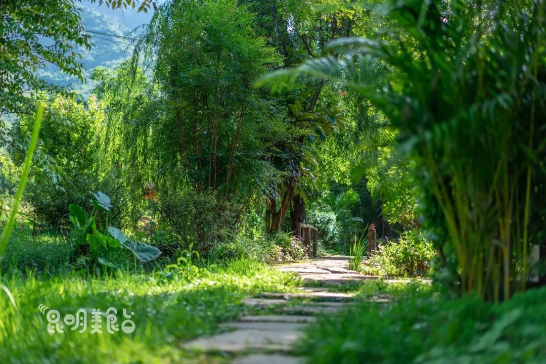 昆明高原明珠牛头宴,昆明附近哪里有世外桃源