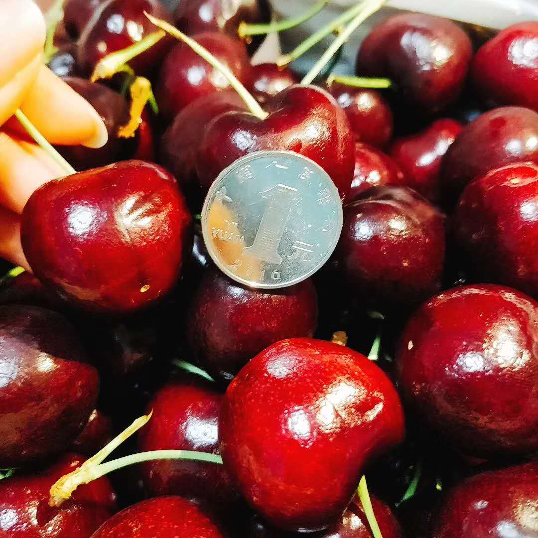 你不知道的车厘子和樱桃的那些事,关于车你不知道的秘密