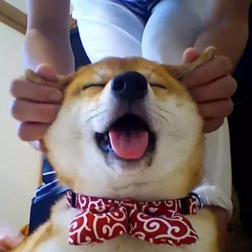 上课困了有没有什么好办法,上课困成狗怎么办