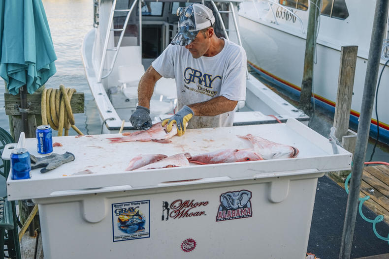 佛罗里达阳光之州,美国阳光之州佛罗里达