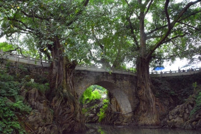 贵州兴义万峰林初夏风光美如画,贵州兴义的万峰林景区