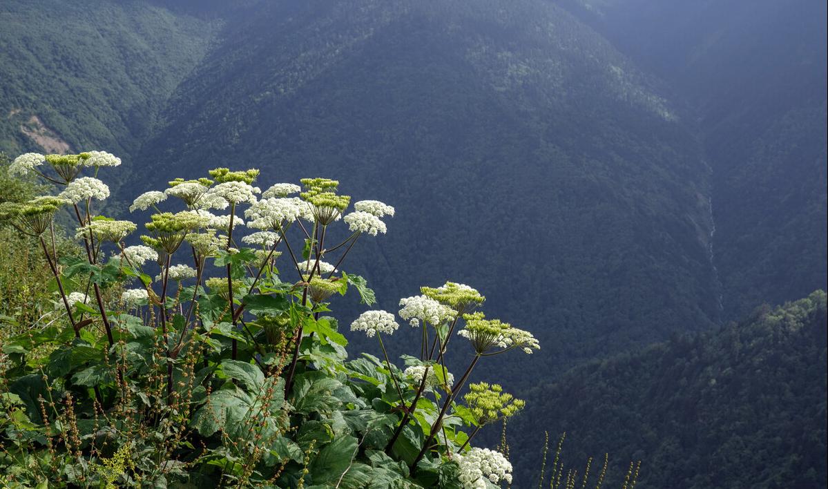 关节僵硬疼是湿气重的表现,关节湿气重是怎么回事