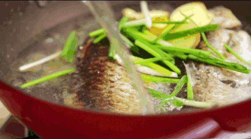为什么你熬的鱼汤不白,为什么你做的鱼汤不浓教你一招