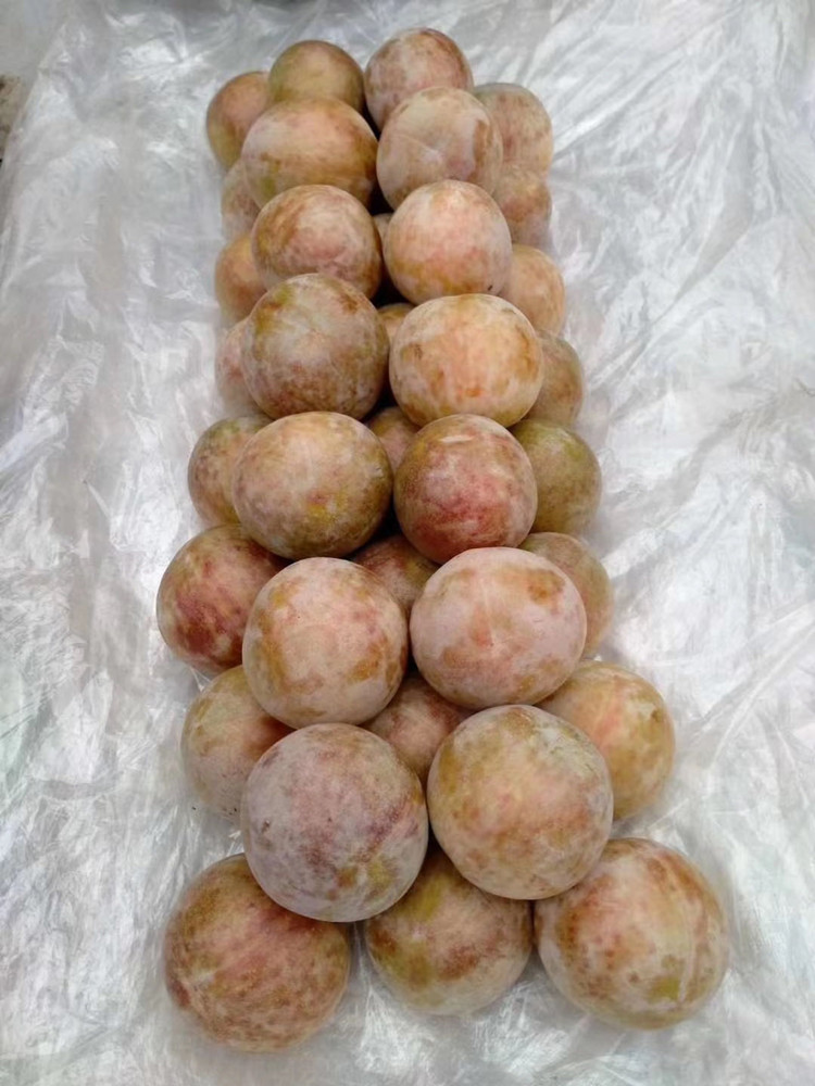 重庆恐龙蛋李子苗培育方法,恐龙蛋李子苗种植后结果表现分享