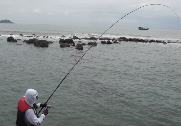 钓了这么多年鱼,钓了几年的鱼还是不懂抛竿