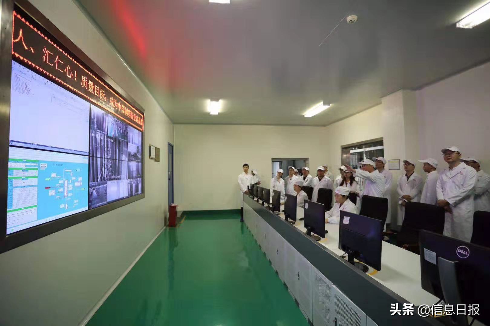 全国网媒聚焦,全国媒体聚焦