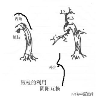 名师讲堂节选视频,名师课例分享及研讨交流