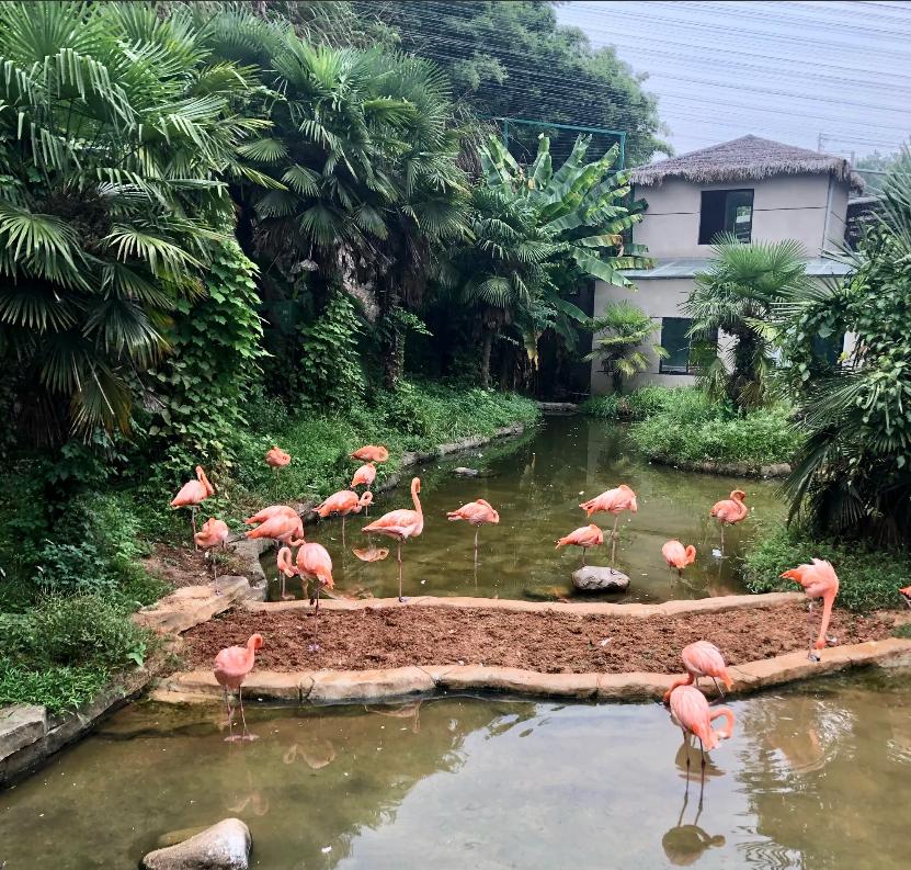 瀹夊悏绔规捣,瀹夊悏绔规捣椋庢櫙