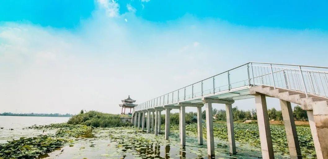 这届丰县人，的确没什么好“骄傲”的