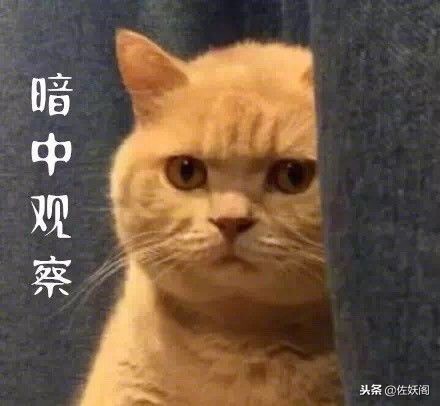 网店店主代购逃税300万被判10年,代购税务处罚标准