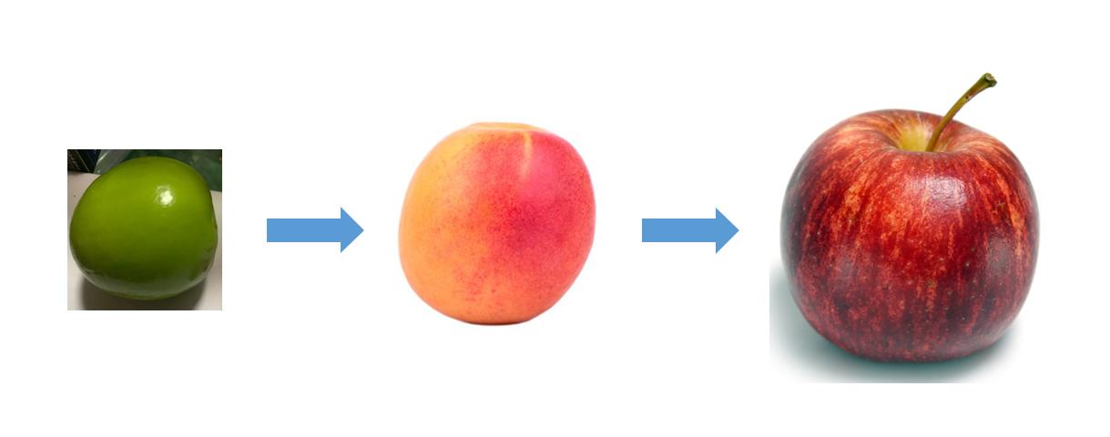 臀部长了一个瘤子是怎么回事,臀部上长个瘤子不疼不痒软软的