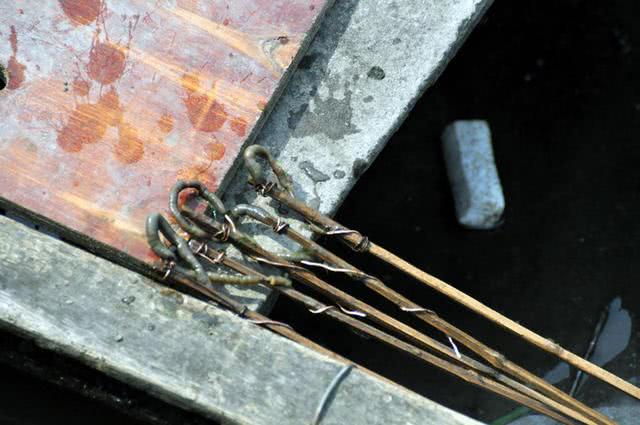 为什么河岸边石头缝里钓到的黄鳝更肥更大?老头给了我答案