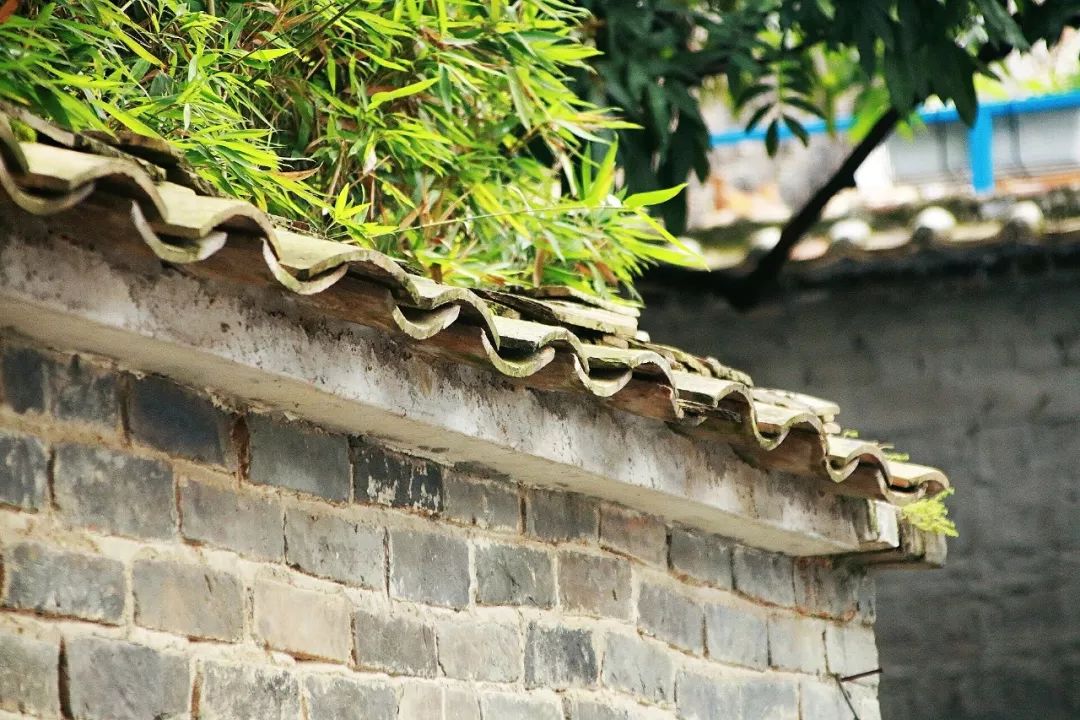 广州拍照好看的地方情侣,广州适合女孩子拍照的地方