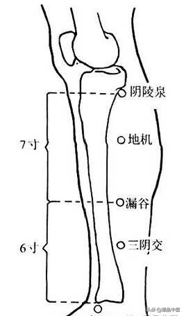 气虚型冠心病缓不过来气的急救穴,中医对心脏病的急救用穴是哪几个