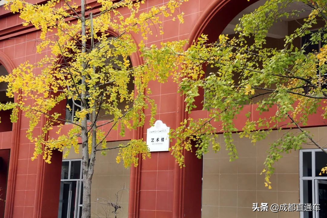 花开的季节合唱视频,花开的季节和你相遇