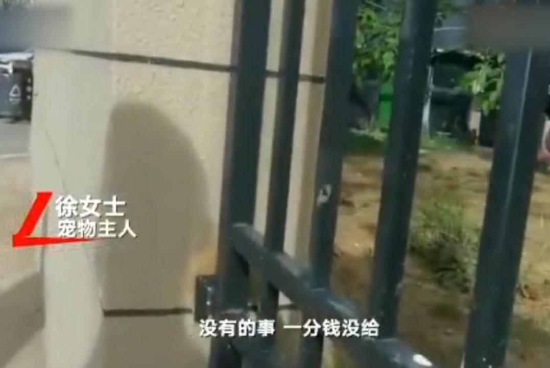 “寻狗赠房”系打印错误？北京寻狗赠房狗主人回应：因天黑没看就贴了，半夜接到三百个电话