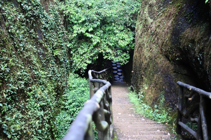 梅州采茶,梅州采茶体验