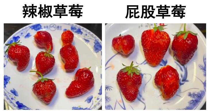 记我的一次旅行600字记叙文,记一次游玩经历600字