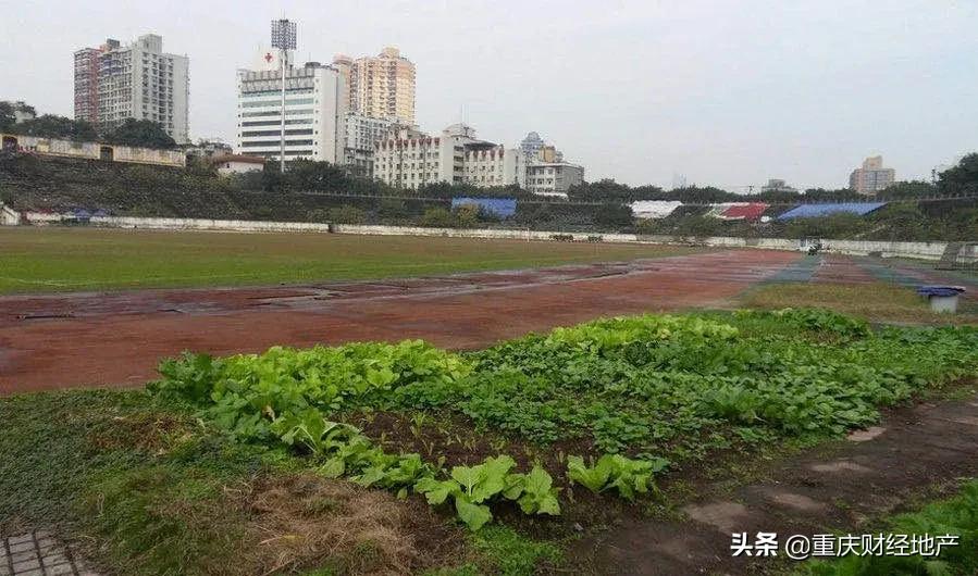 6亿元改造大田湾，一起来回忆那些高光时刻