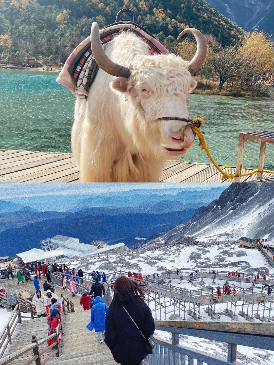 1月份云南旅游全攻略自由行,云南旅游游云南
