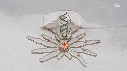 用橡皮泥做小型的机器人,怎么用橡皮泥做战斗机器人