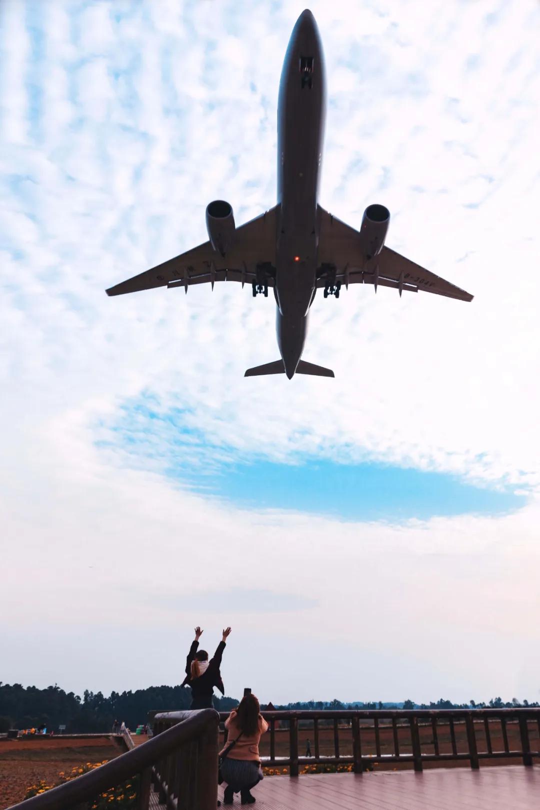 在空港花田里怎么拍照好看,每张都是屏保