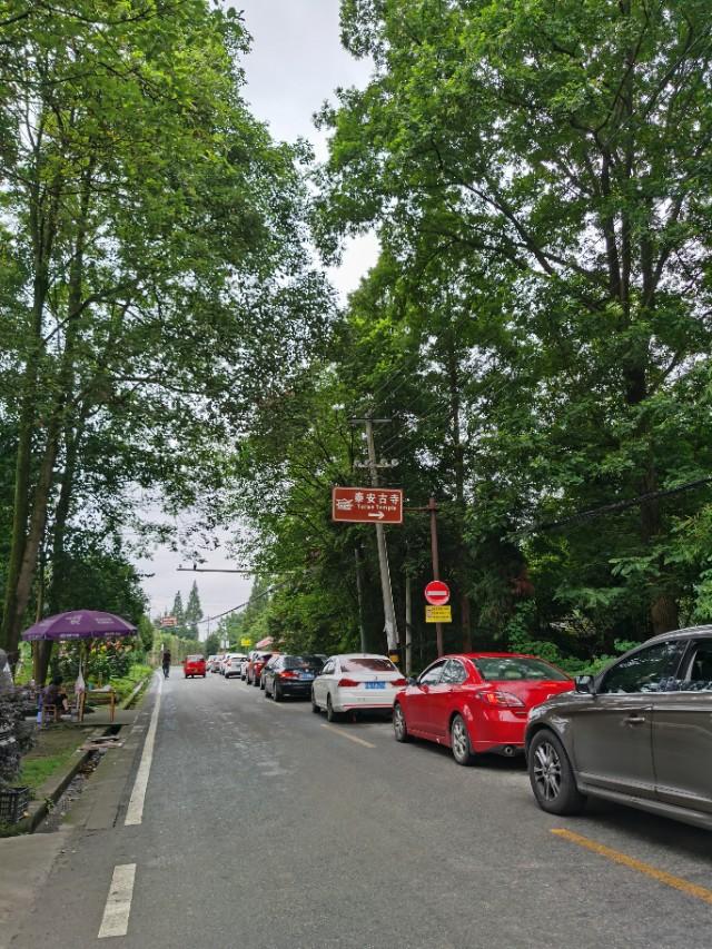 带妈妈去青城山避暑,陪父母游四川青城山