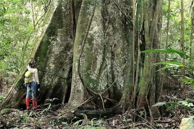 地球里有哪些恐怖的地方,人类还有哪些恐怖的禁区