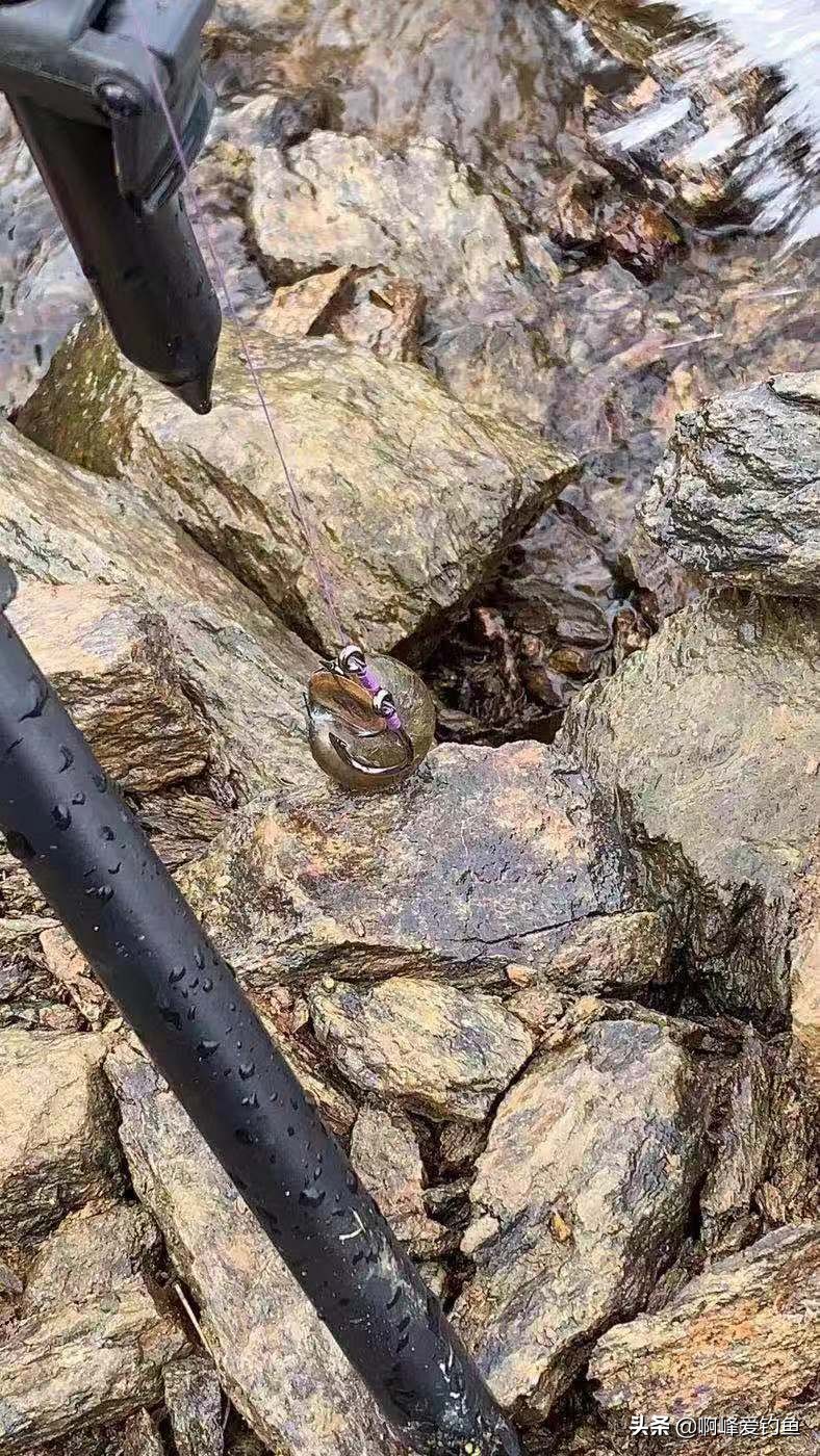 怎么钓青鱼好钓一点,冬钓青鱼技巧和方法