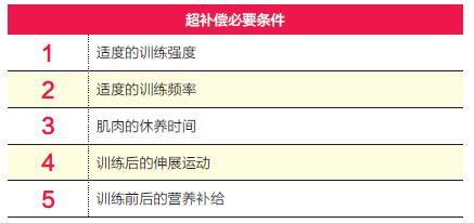 新手耐力训练,核心耐力训练