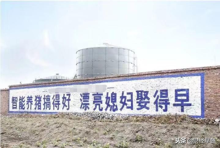 为什么马云刘强东都加入养猪行业,2018年马云养猪