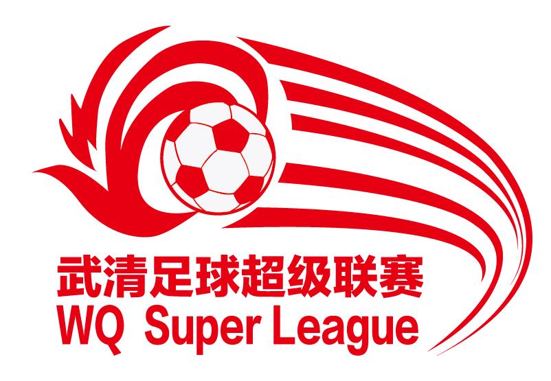 武清甲级联赛,武清足球比赛直播