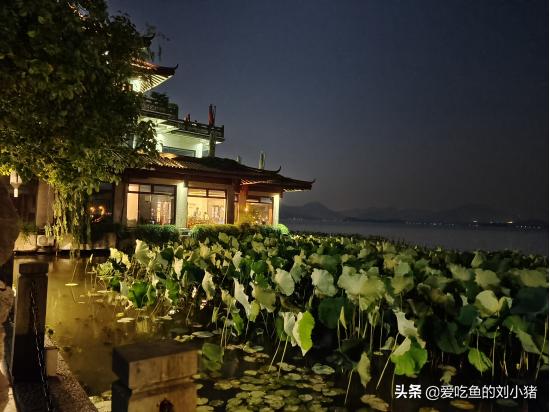 南方景色巅峰！饱含人间风雅的西湖到底有多美？