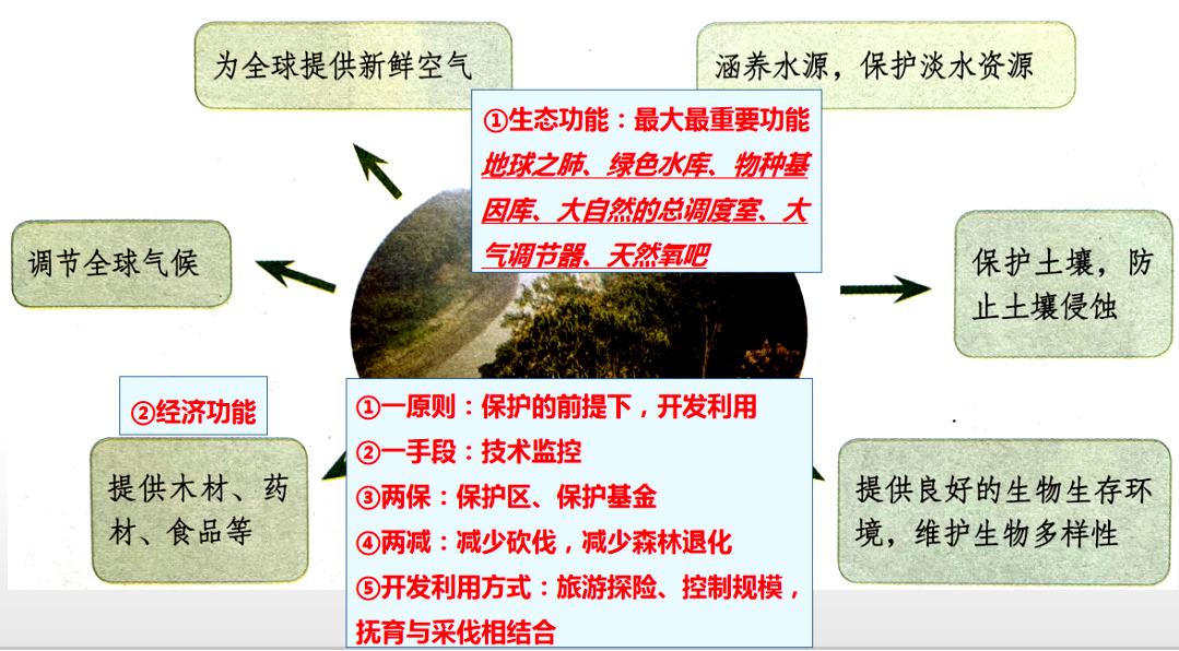 巴西地理知识讲解,初学生需要知道的百科知识