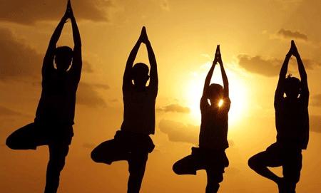 白龙马惨死最后怎么解决的,白龙马惨死事件