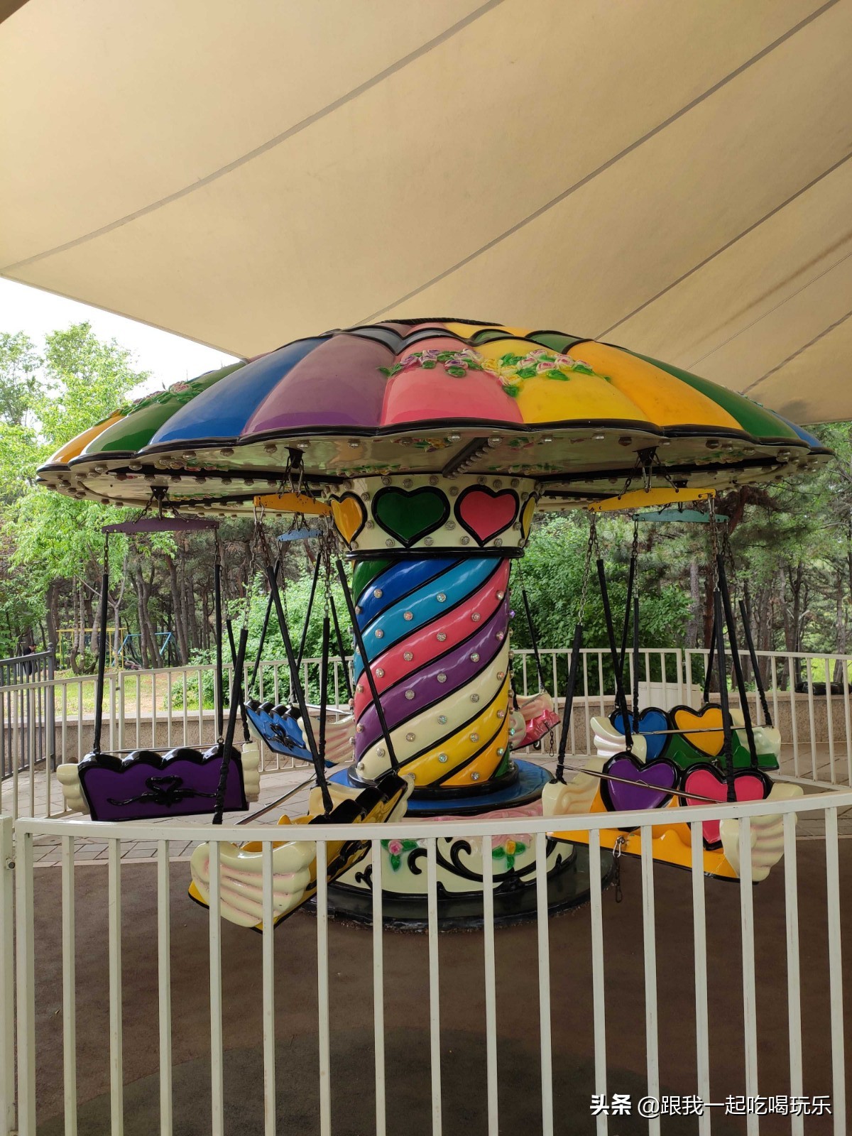 沈阳可以探险的地方,沈阳亲子游丛林探险