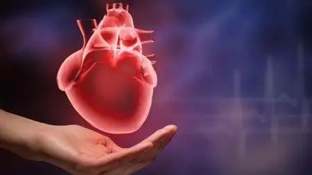 静默的杀手,沉默的杀手静脉血栓