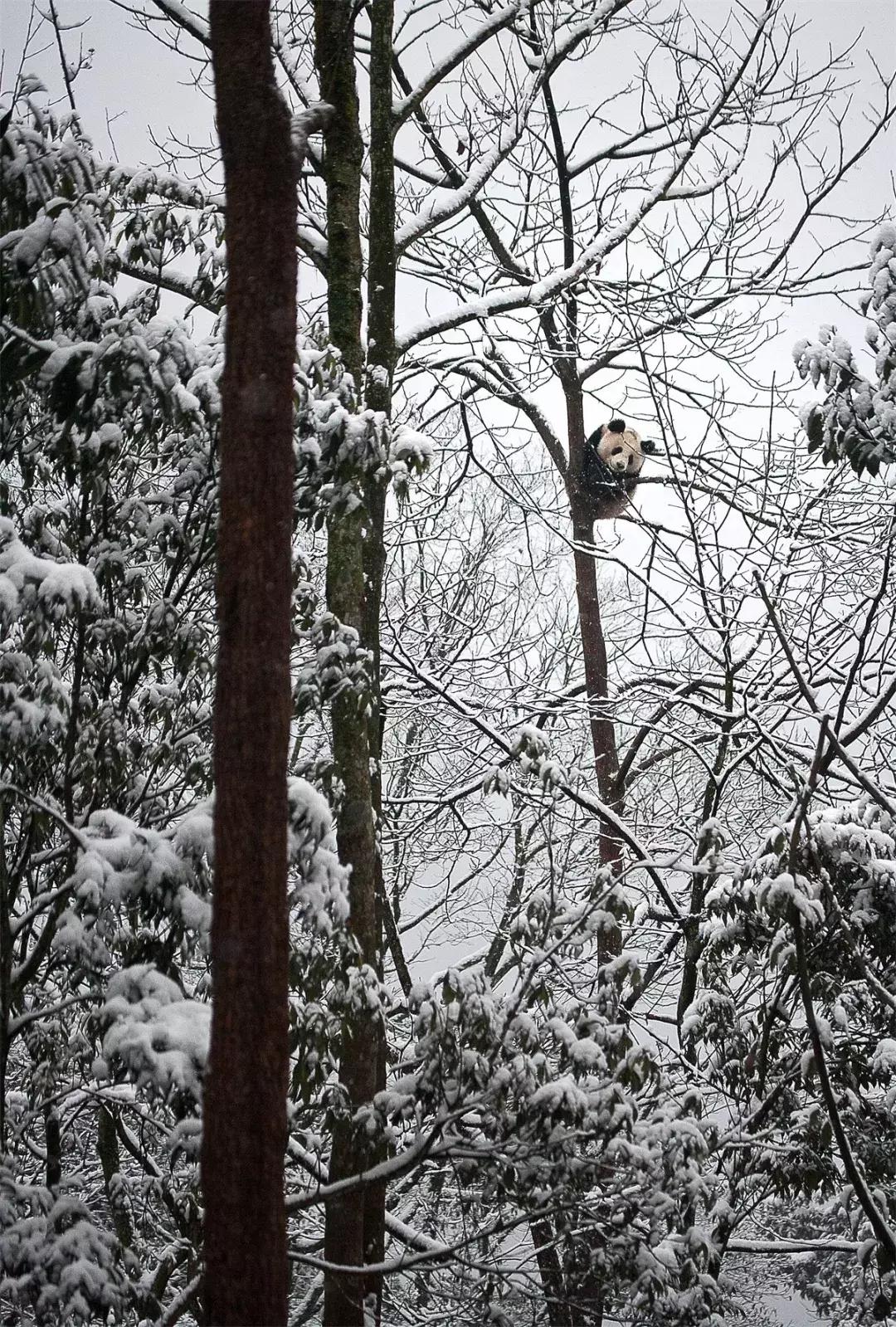 你才可爱你全家都可爱怎么回,你才可爱你全家都可爱出处