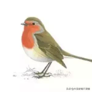 vue开源项目推荐,15个最佳vue开源项目