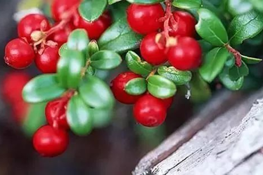 祛斑必须要知道的事,美白祛斑五大误区