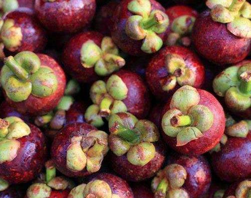 山竹挑选小技巧学会了个个都新鲜,如何挑选山竹才是最新鲜的