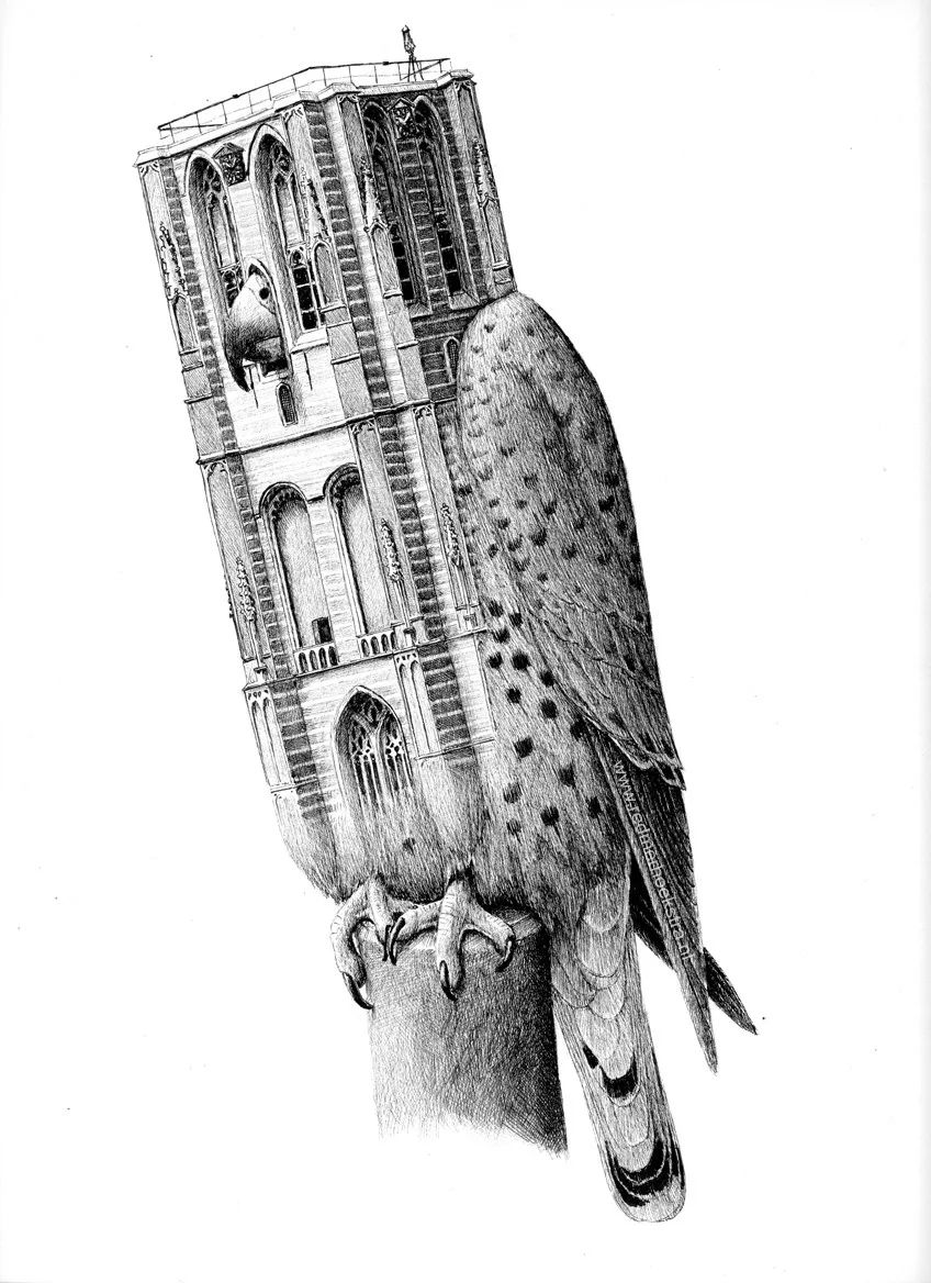 脑洞大开的创意绘画方式,脑洞大开的素描