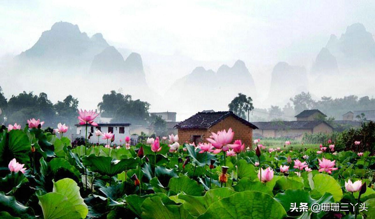 广东最新清零城市名单,全国第一个清零的城市